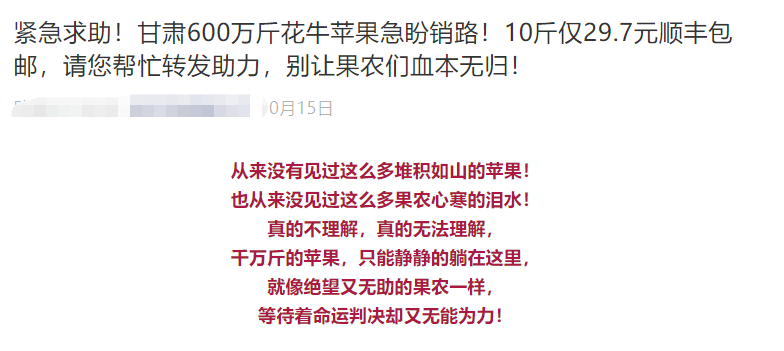 本期新澳门今晚一码一肖一特一中水果爷爷-公证解答解释落实