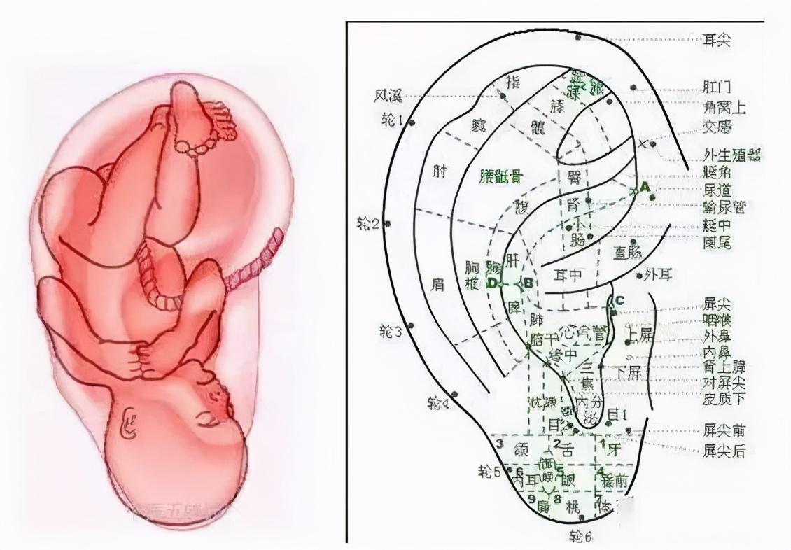 三个月宝宝牙龈上长个白疙瘩，原因、观察与处理方法