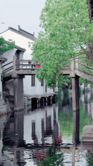 江苏听雨科技，引领科技创新的先锋力量