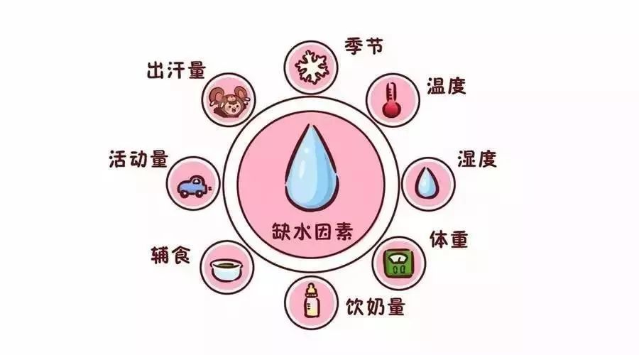 六个月宝宝每天所需水分的探讨