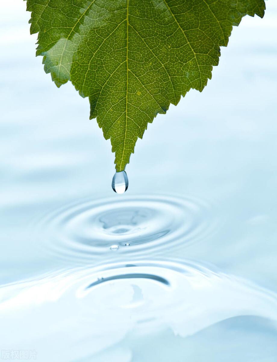 广东键明生物有限公司，引领生物科技，照亮未来之路