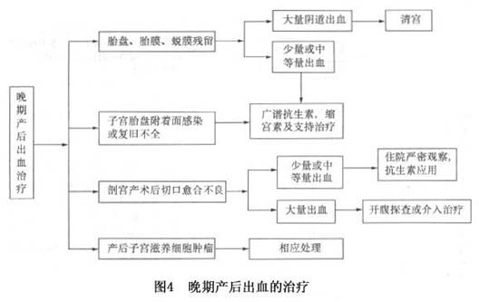 产后三个月反复出血，原因、治疗与管理