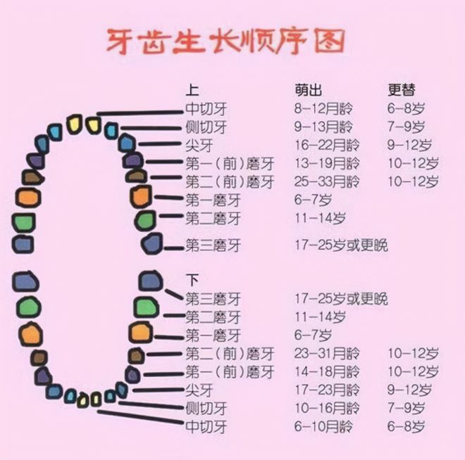 宝宝正常几个月出牙，牙齿生长规律与注意事项