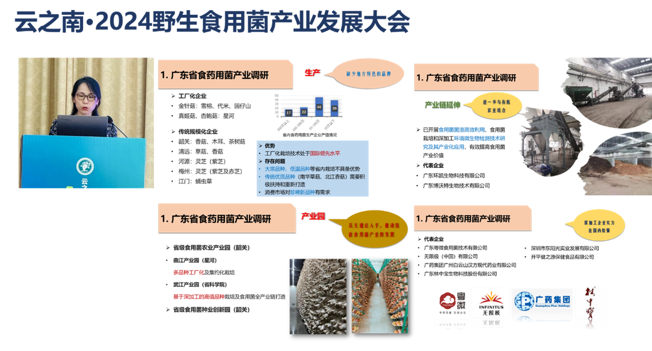 广东省菌种保藏中心网，菌种资源的数字化守护者