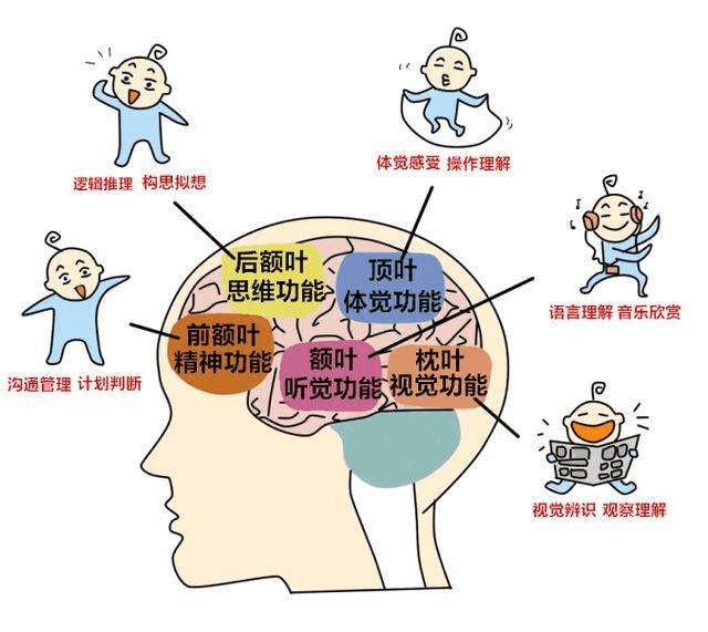 探索沉默的语言，十四个月宝宝的说话挑战